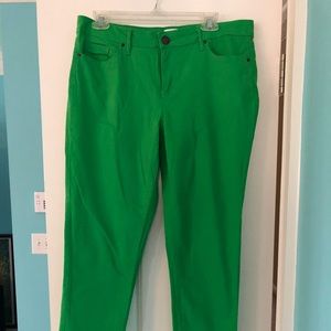 Green Cotton pants